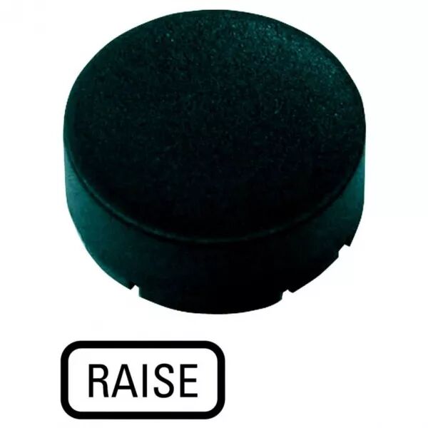 �tiquette, saillante noire, RAISE (218252)