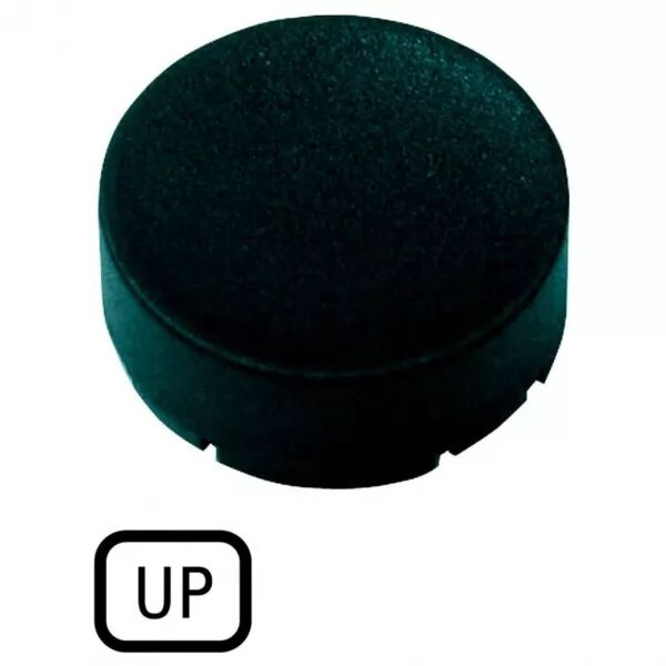 �tiquette, saillante noire, UP (218244)