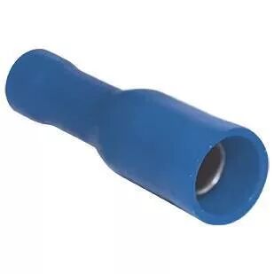 Fiche fem. ronde1,5�2,5� b