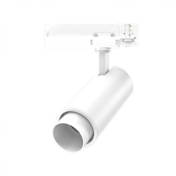 FOCUS CCT ACCESSOIRE �75*220 BLC CYLINDRE ANTI-REFLET