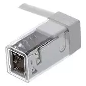 INDIGO-CONNECTEUR + CABLE DROIT (ST139)