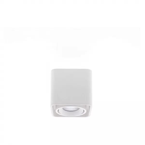INDIGO-LUPO 1 10W 500Lm 3000K 38� Blanc mat (WA211WW21)