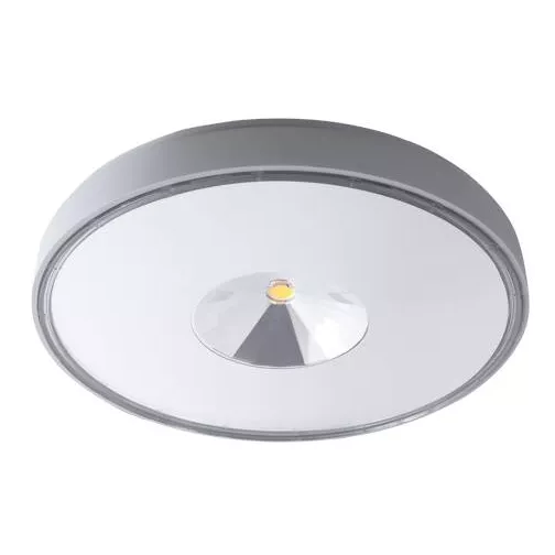 INDIGO-SKIP 2 30W 3800Lm 3000K 120� IP65 M�tal (OU28203)