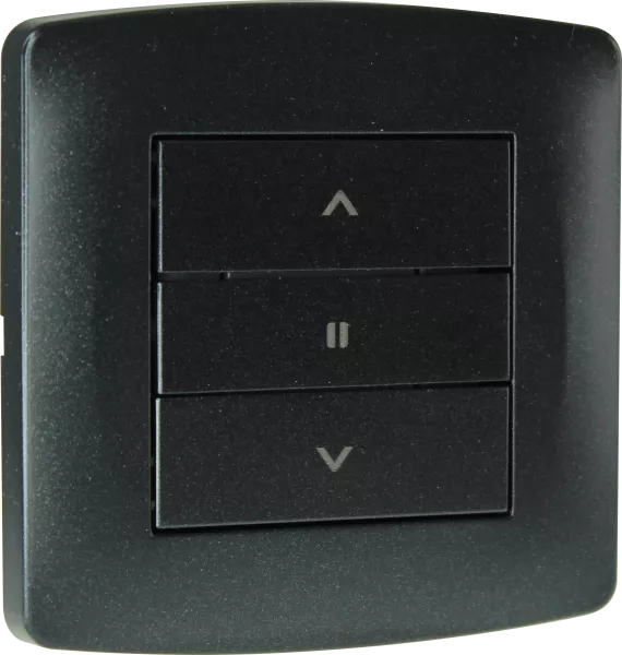 Inter volet roulant anthracite (61923)