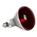 IR R80 100W Reptistar (0033007)