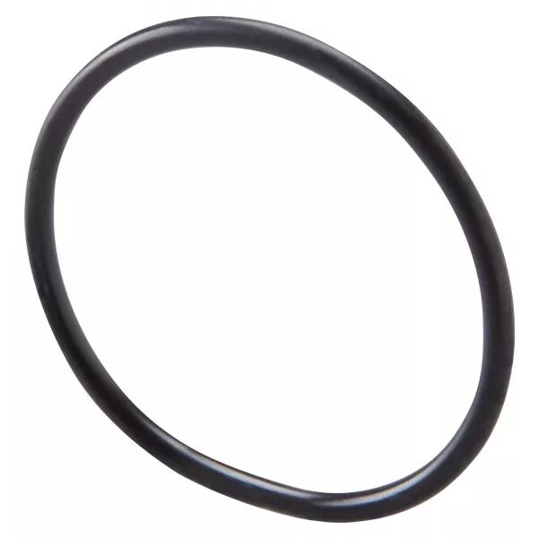 JOINT TORIQUE - POUR BOUCHON OBTURATEUR - PAS M16 - GW52453