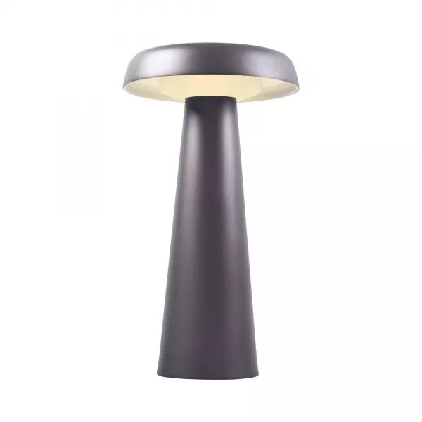 Lampe � poser - ARCELLO - M�tal - Anthracite - LED Module Incl. (2220155050)