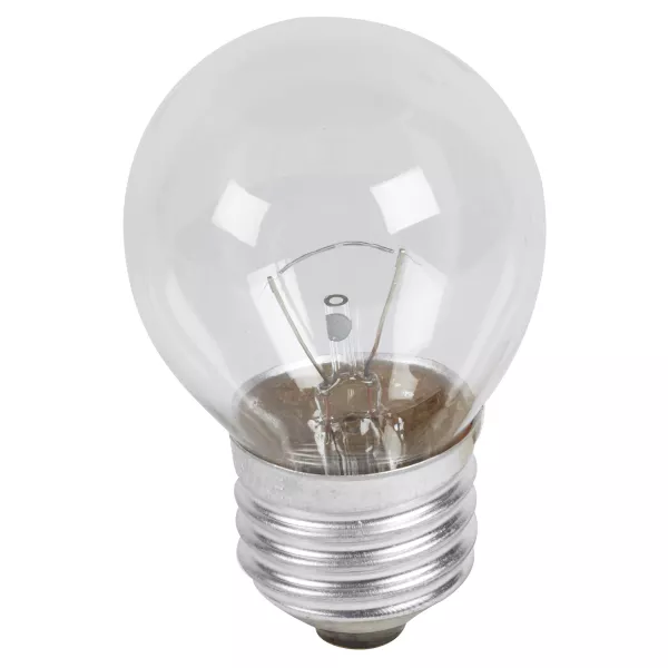 Lampe E27 24V 25W pour LSC d\'�vacuation type m�tal-verre r�ference 210000 (290001)