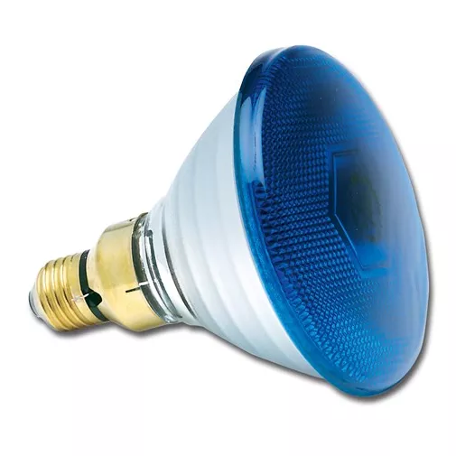 Lampes sp�ciales PAR38 bleu 80W Flood 30� 240V E27 (0019650)