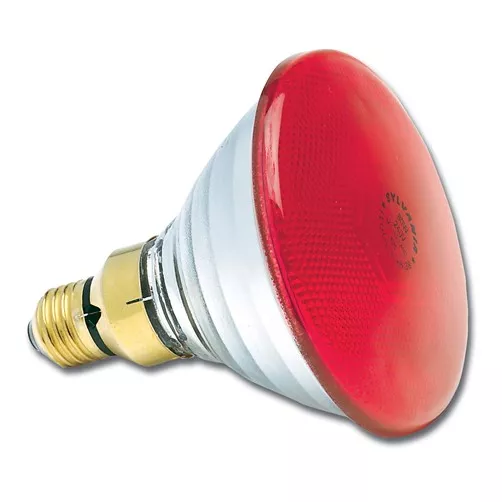 Lampes sp�ciales PAR38 rouge 80W Flood 30� 240V E27 (0019652)