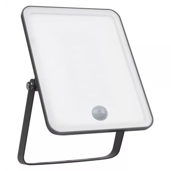 LEDVANCE - LDV FL ESSENTIAL SENSOR 30W/3000K 2250lm IP65 Noir Projecteur LEDVANCE (4058075768314)