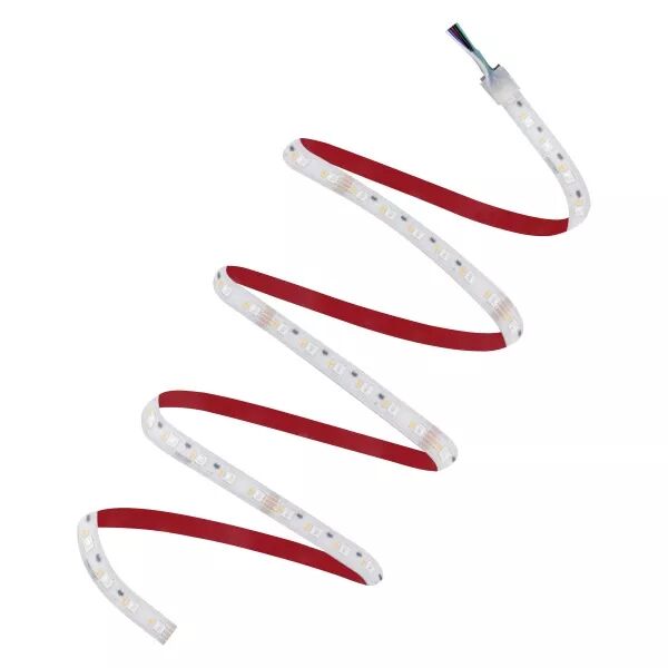 LEDVANCE - RUBAN LED PERFORMANCE PROTEGE 1000lm/m RGBW IRC80 Rouleau de 5 m�tres (4058075436114)