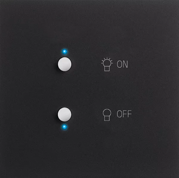 legrand-art d\'arnould univers epure interrupteur lumi�re myhome_up - noir mat (67881)
