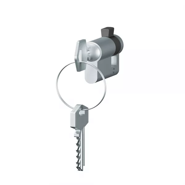 legrand-barillet europ�en avec 3 cl�s pour plexo , c�liane et mosaic (069795)