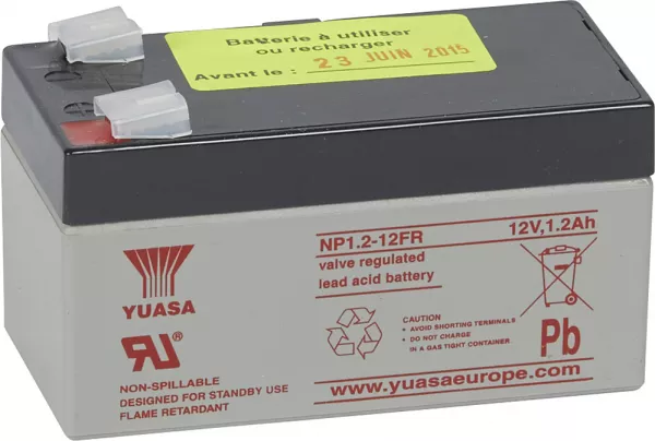 legrand-batterie au plomb 12v 1ah pour cmsi typeb (040747)
