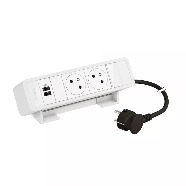 legrand-bloc bureau 2x2p+t f/b + usb c+c 15w et cordon 2m fiche - blanc (655112wh)