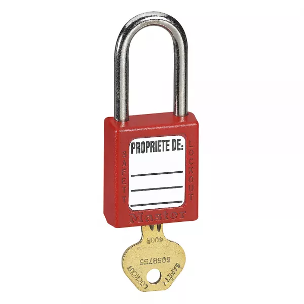 legrand-cadenas de s�ret� - �6mm  - longueur 50mm (022797)