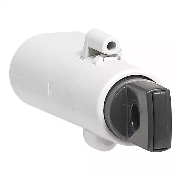 legrand-cadenassage pour bases dpx�250 ou dpx�160 extractible (421047)