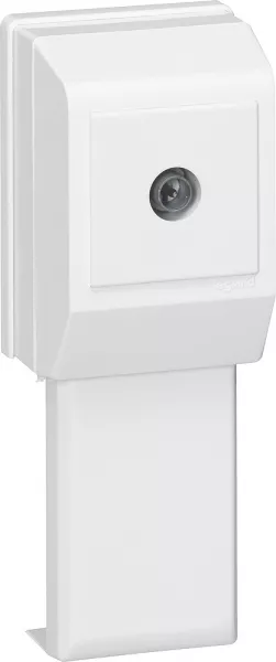 legrand-cadre mosaic 2 modules pour pose le long des moulures-surplinthes dlplus (030379)