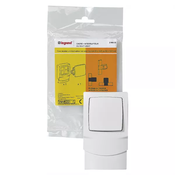 legrand-cadre saillie 1 poste avec interrupteur pour moulure 12,5mm (298902)
