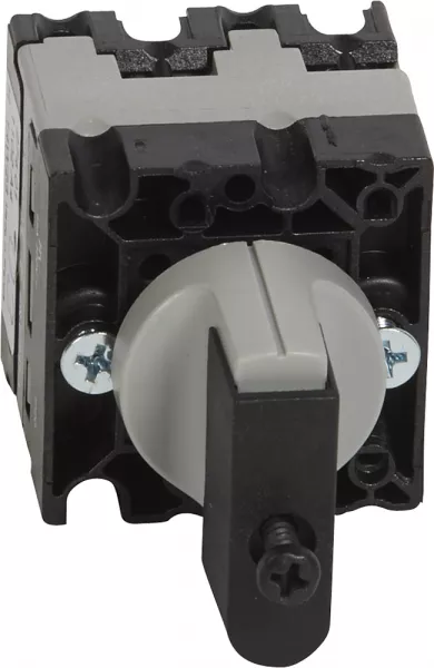 legrand-commutateur � cames inter marche/arr�t pr12 2p 2 contacts fixation vis sur porte (027401)