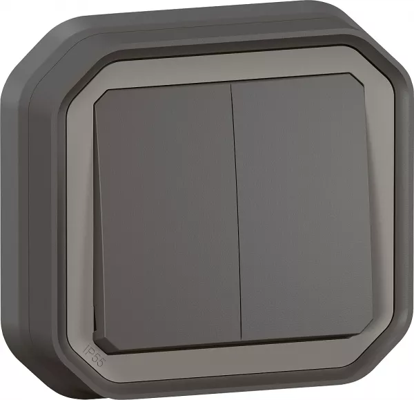 legrand-double interrupteur / va-et-vient ou poussoir plexo complet encastr� -anthracite (070037)