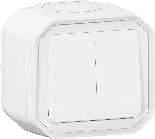 legrand-double interrupteur / va-et-vient ou poussoir plexo complet saillie - blanc (070023)