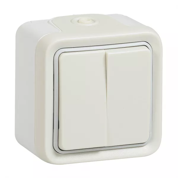 legrand-double interrupteur ou va-et-vient plexo apparent - blanc (069916)
