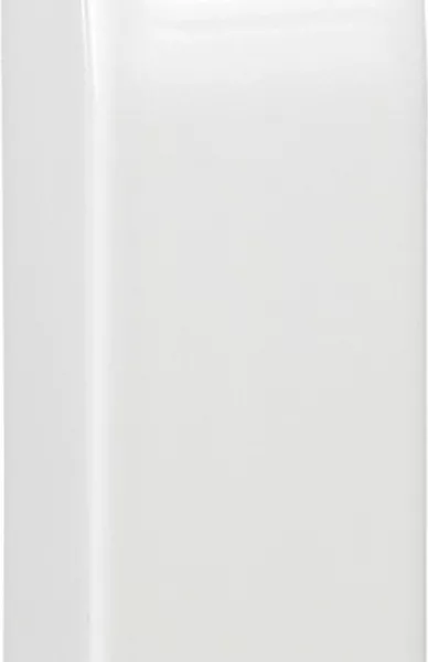 legrand-embouts (x 2) pour plinthe section 80x20mm (098224)