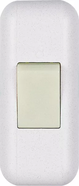 legrand-interrupteur � bascule pour lampe - lumineux - bipolaire - blanc (091199)