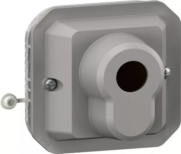 legrand-interrupteur � cl� acc�s s�curis� 2 positions plexo composable gris (069706l)