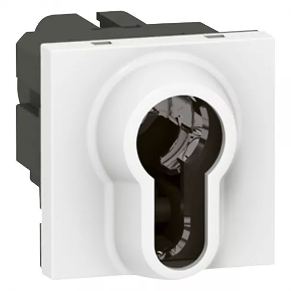legrand-interrupteur � cl� mosaic - 2 positions - barillet europ�en - 2 modules - blanc (077074)