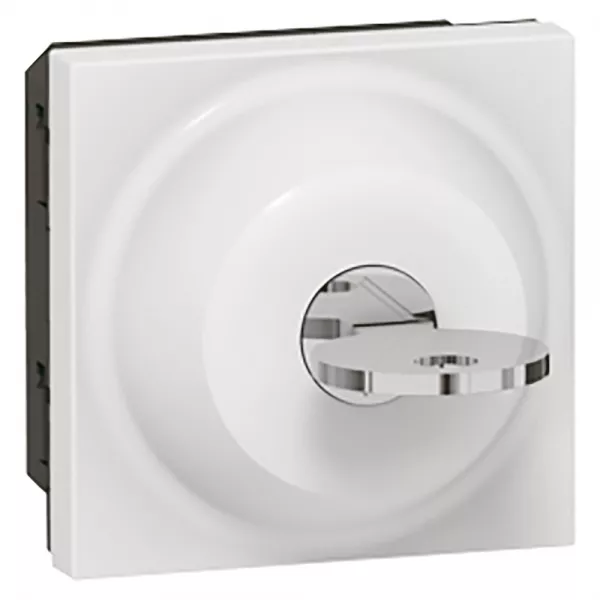 legrand-interrupteur � cl� mosaic - 2 positions - cl� ronis - 2 modules - blanc (077072)