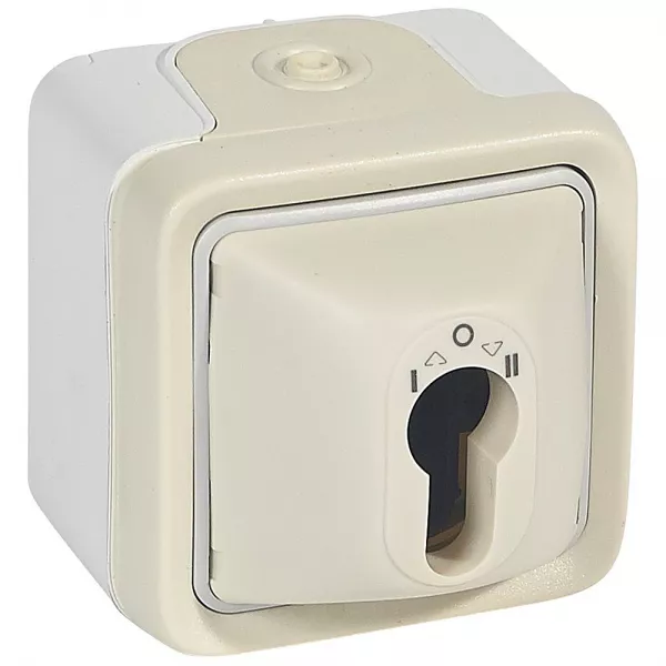 legrand-interrupteur � cl� plexo complet ip55 saillie pour barillet europ�en - blanc (069757)