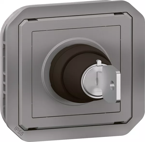 legrand-interrupteur � cl� ronis 2 positions plexo composable gris (069534l)