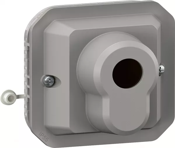legrand-interrupteur � cl� ronis 3 positions plexo composable gris (069535l)