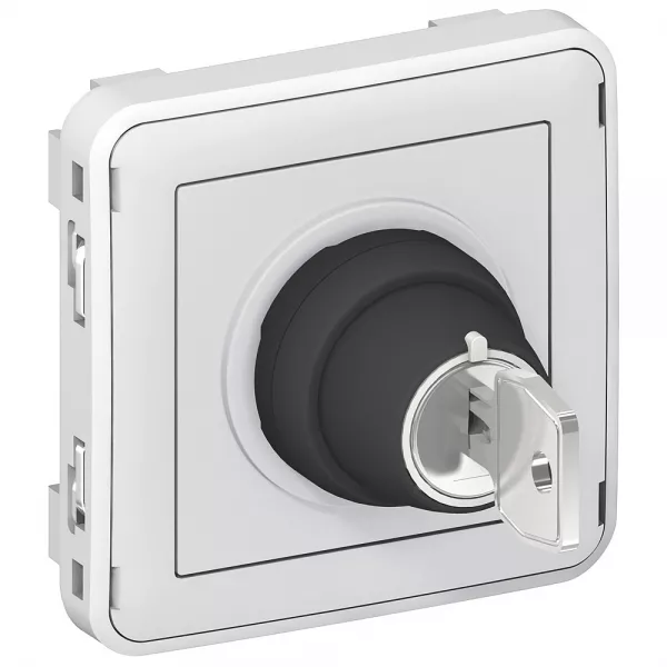 legrand-interrupteur � cl� ronis n�455 2 positions plexo composable ip55 3a 250v - gris (069534)