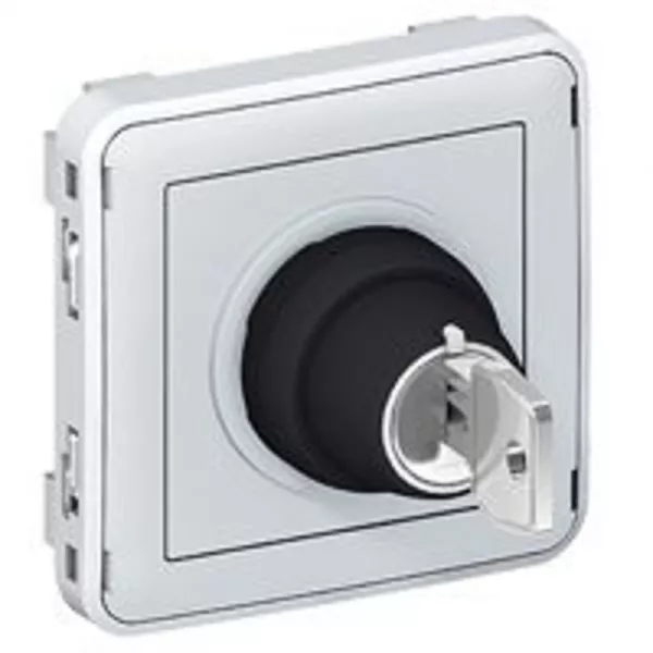 legrand-interrupteur � cl� ronis n�455 3 positions plexo composable ip55 3a 250v - gris (069535)
