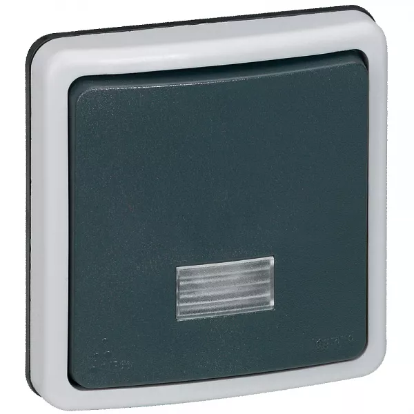 legrand-interrupteur ou va-et-vient �tanche � voyant 10a plexo ip66 composable - gris (090480)