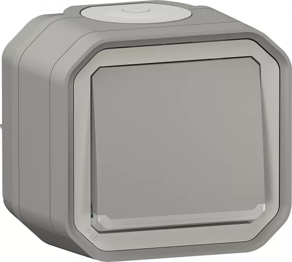 legrand-interrupteur ou va-et-vient lumineux 10ax 250v plexo complet saillie gris (069713l)