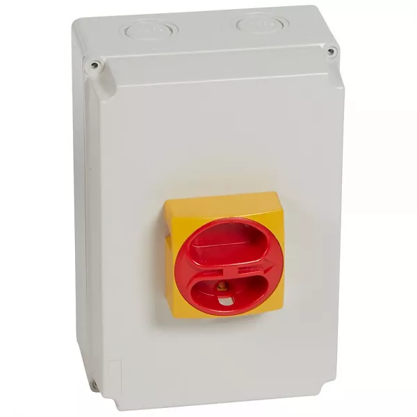 legrand-interrupteur-sectionneur rotatif complet de proximit� - 4p neutre � gauche 40a (022184)