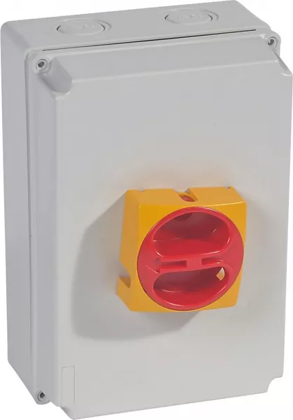 legrand-interrupteur-sectionneur rotatif complet de proximit� - tripolaire - 40a (022174)
