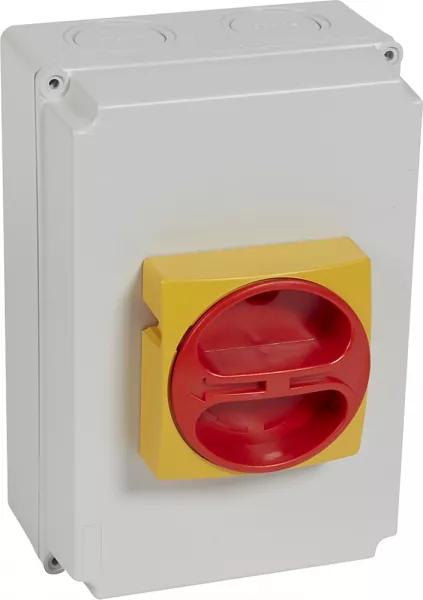 legrand-interrupteur-sectionneur rotatif complet de proximit� - tripolaire - 63a (022176)