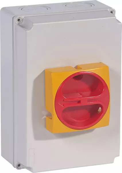 legrand-interrupteur-sectionneur rotatif complet de proximit� - tripolaire - 80a (022177)