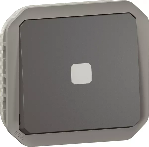 legrand-interrupteur temporis� lumineux plexo composable anthracite (069804l)