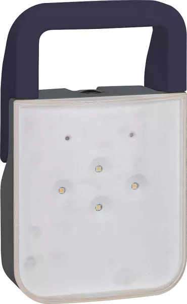 legrand-lampe bapi � leds 100 lm ip55 ik08 - 1,8w avec batteries ni-cd et 230v - gris (060894)