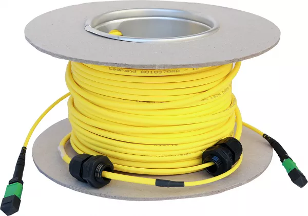 legrand-microc�ble os2 mtp lcs� 12 fibres - mtp et mtp - longueur 30m (032453)