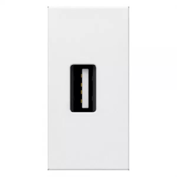 legrand-prise usb 2.0 femelle � visser mosaic 1 module - blanc (078761)