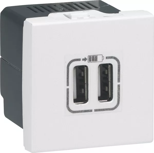 legrand-prises 2 usb type-a 2,4a 5v= 15w mosaic 2 modules 230v - blanc (077594)