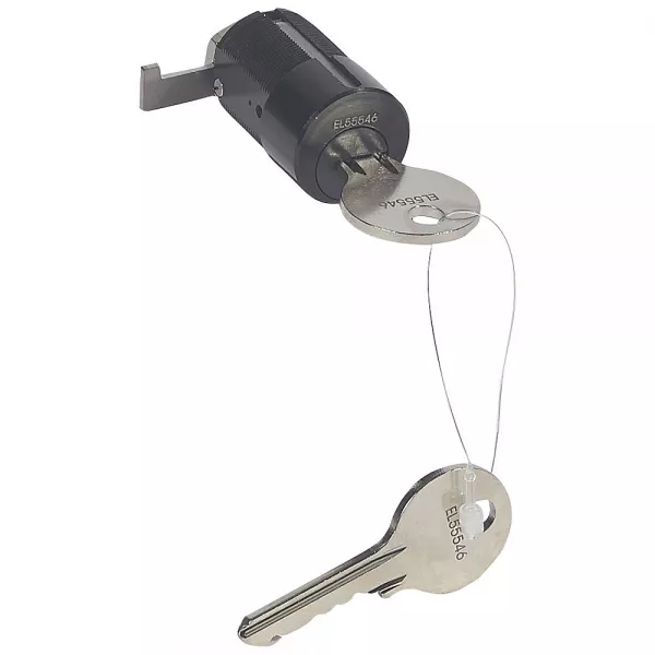 legrand-serrure de verrouillage � cl� plate - bloquer 1 dpx-is630 en position ouverte (026697)